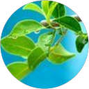 S.Chitra profile picture