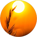 Sivakumar C profile picture